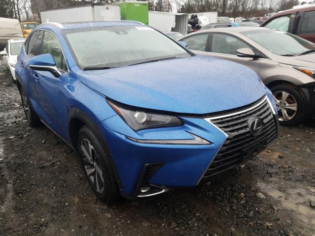 LEXUS NX 300 BAS 2019 jtjbarbzxk2211068