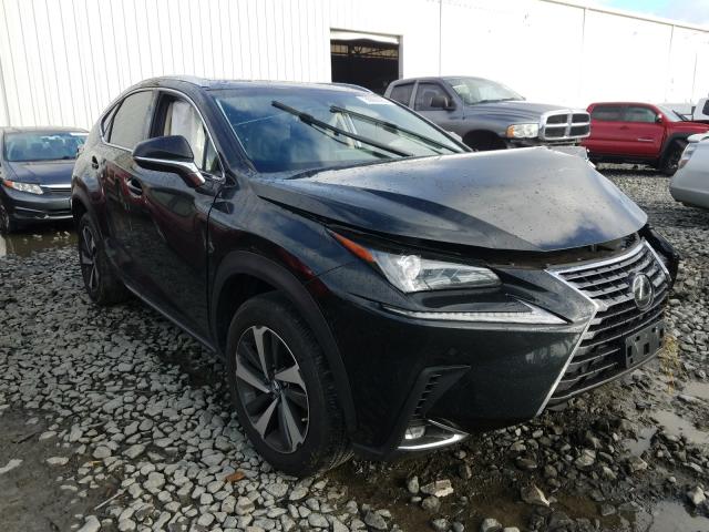 LEXUS NX 300 2019 jtjbarbzxk2213225