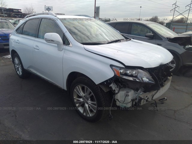 LEXUS RX 450H 2010 jtjbc1ba0a2008419