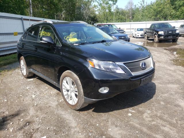 LEXUS RX 450 2010 jtjbc1ba0a2010395