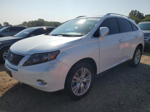 LEXUS RX 450H 2010 jtjbc1ba0a2027570