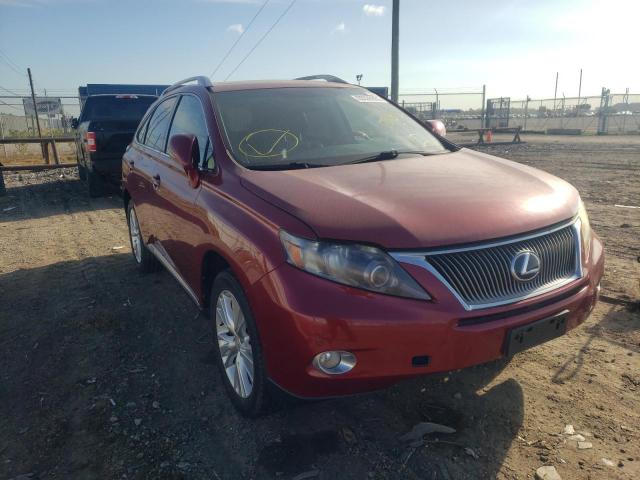 LEXUS RX 450 2010 jtjbc1ba0a2031392