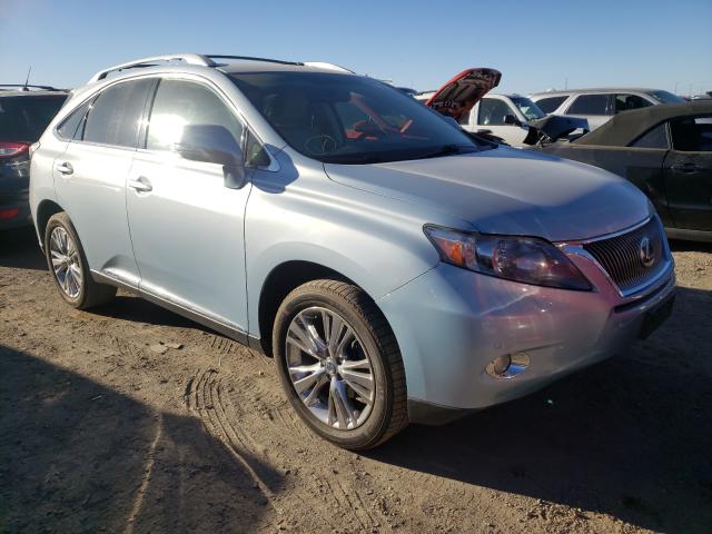 LEXUS RX 450H 2010 jtjbc1ba0a2406570