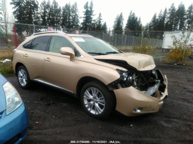 LEXUS RX 450H 2010 jtjbc1ba0a2414216