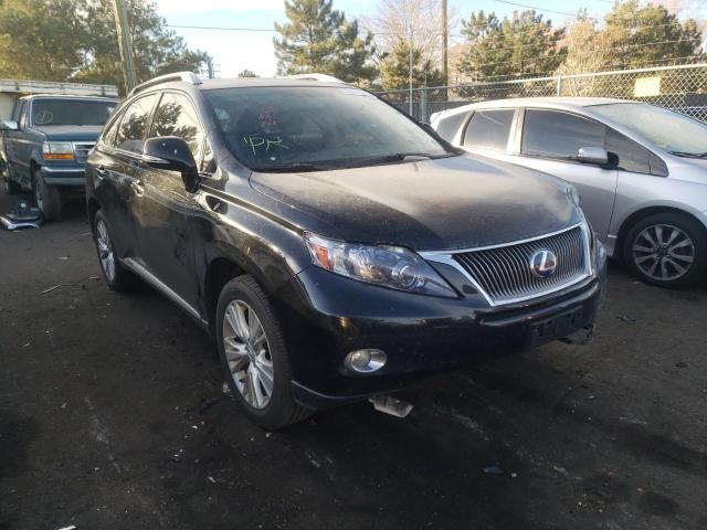 LEXUS RX 450 2010 jtjbc1ba1a2011166