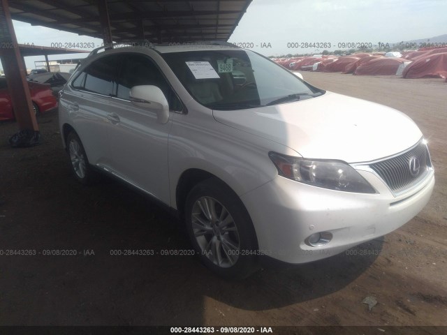 LEXUS RX 450H 2010 jtjbc1ba1a2014536