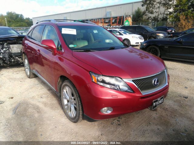 LEXUS RX 450H 2010 jtjbc1ba1a2015539