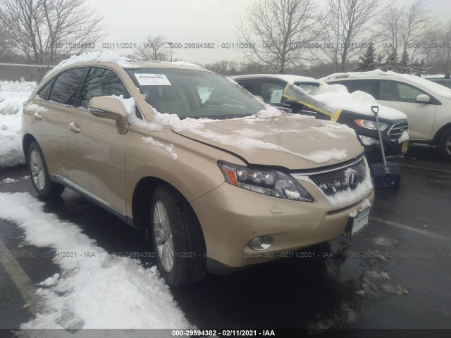 LEXUS RX 450H 2010 jtjbc1ba1a2022930