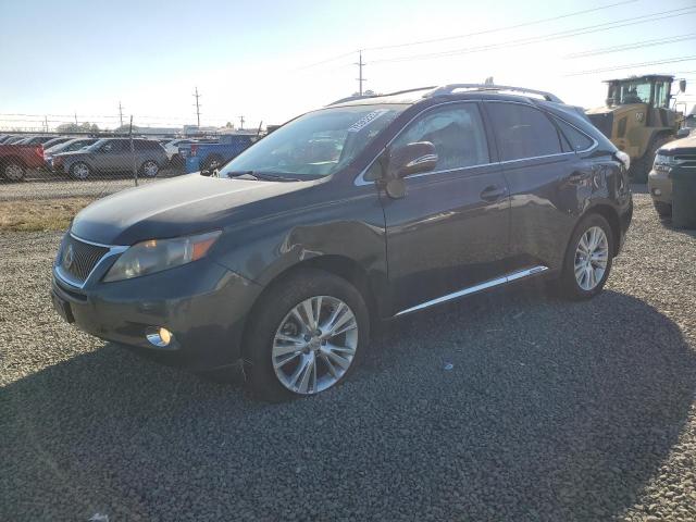 LEXUS RX 450H 2010 jtjbc1ba1a2029800