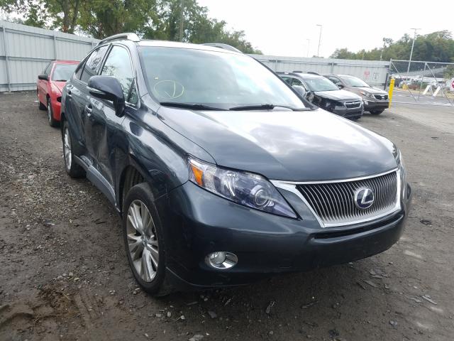 LEXUS RX 450 2010 jtjbc1ba1a2402009