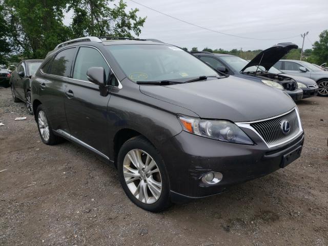 LEXUS RX 450 2010 jtjbc1ba1a2412698