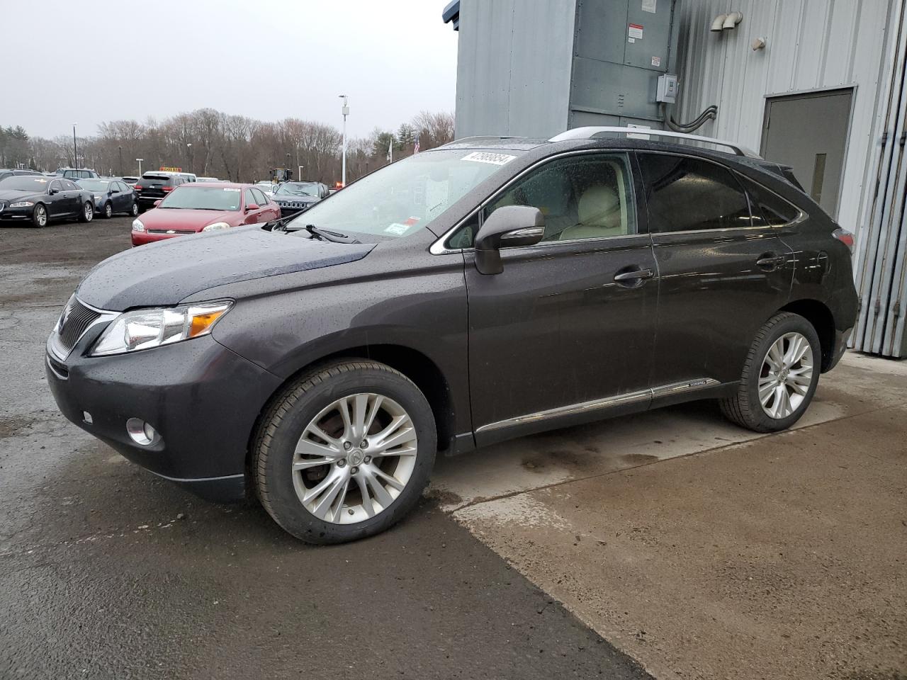 LEXUS RX 2010 jtjbc1ba1a2412748