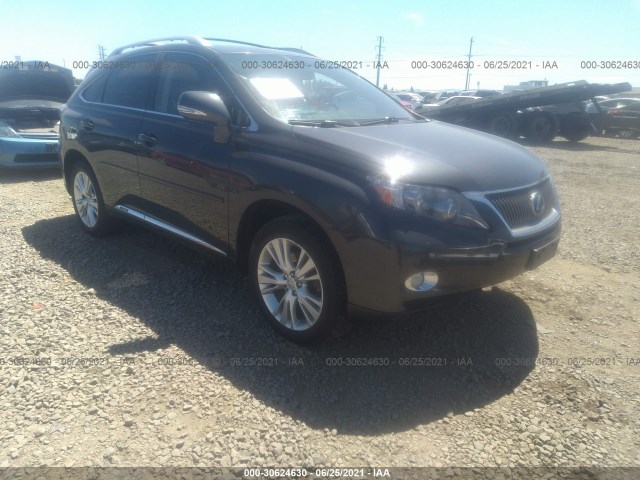 LEXUS RX 450H 2011 jtjbc1ba1b2033217