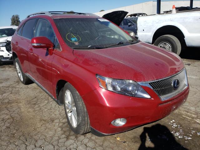 LEXUS RX 450 2011 jtjbc1ba1b2036313