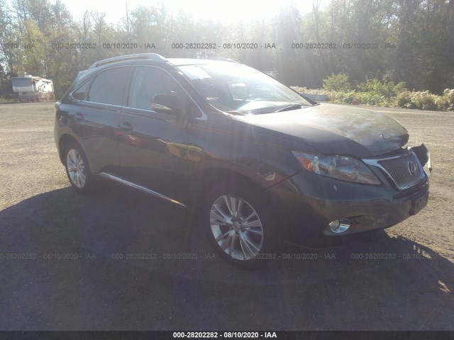 LEXUS RX 450H 2010 jtjbc1ba2a2005778