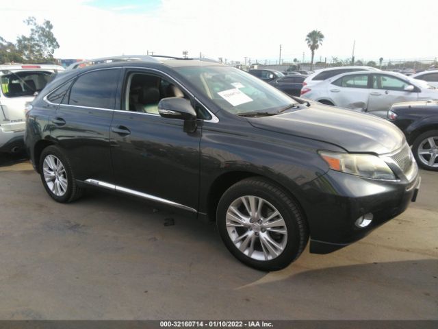 LEXUS RX 450H 2010 jtjbc1ba2a2013931