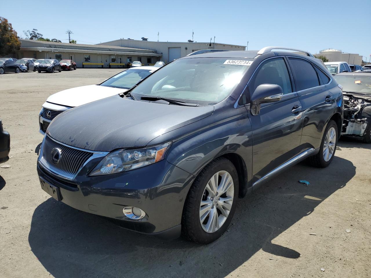 LEXUS RX 2010 jtjbc1ba2a2406084