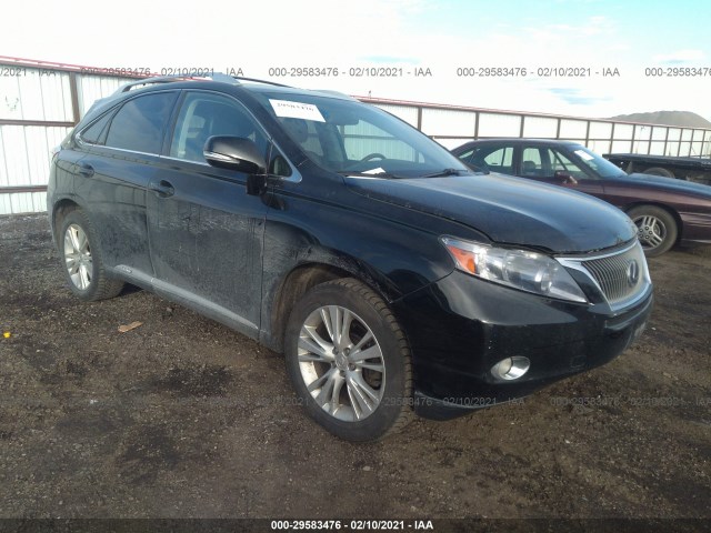 LEXUS RX 450H 2010 jtjbc1ba3a2005384