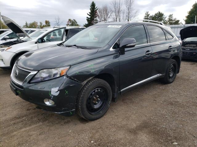 LEXUS RX 450H 2010 jtjbc1ba3a2006342