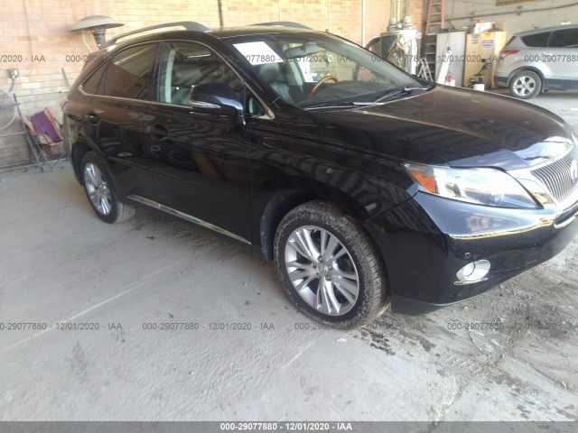 LEXUS RX 450H 2010 jtjbc1ba3a2009922