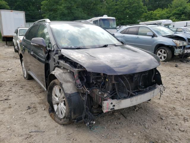 LEXUS RX 450 2010 jtjbc1ba3a2013467