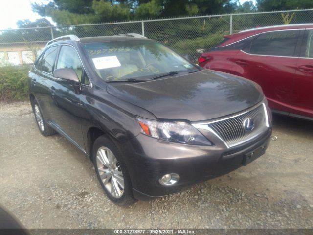 LEXUS RX 450H 2010 jtjbc1ba3a2014165