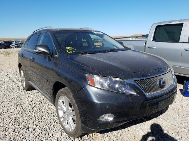 LEXUS RX 450 2010 jtjbc1ba3a2018748