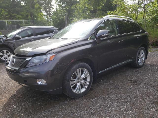 LEXUS RX 450 2010 jtjbc1ba3a2027529