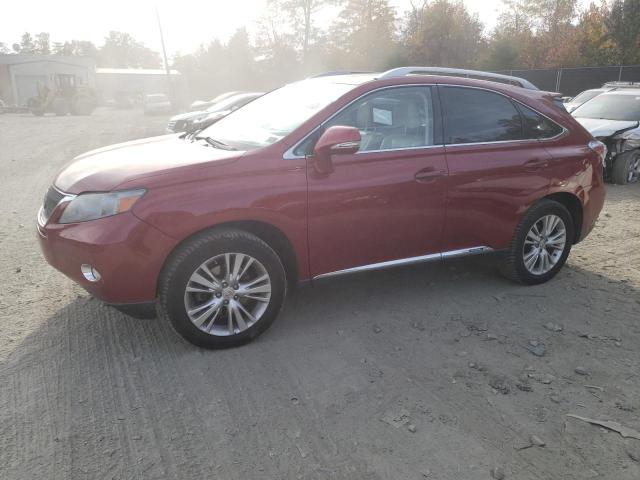 LEXUS RX450 2010 jtjbc1ba3a2030849