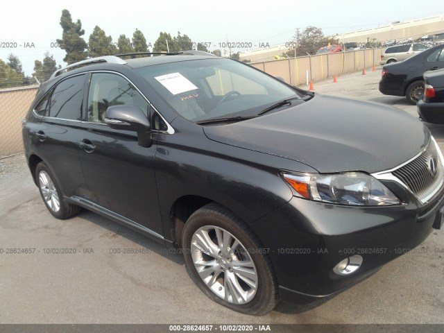 LEXUS RX 450H 2010 jtjbc1ba3a2031788