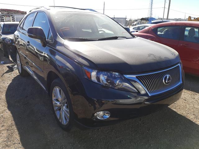 LEXUS RX 450 2010 jtjbc1ba4a2017253