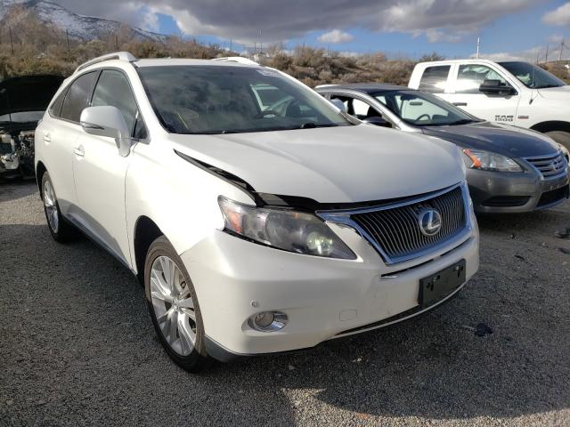 LEXUS RX 450 2010 jtjbc1ba4a2019245