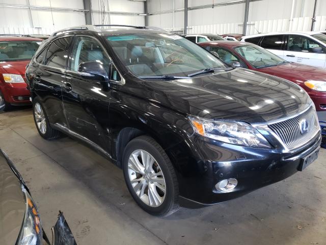 LEXUS RX 450 2010 jtjbc1ba4a2019875