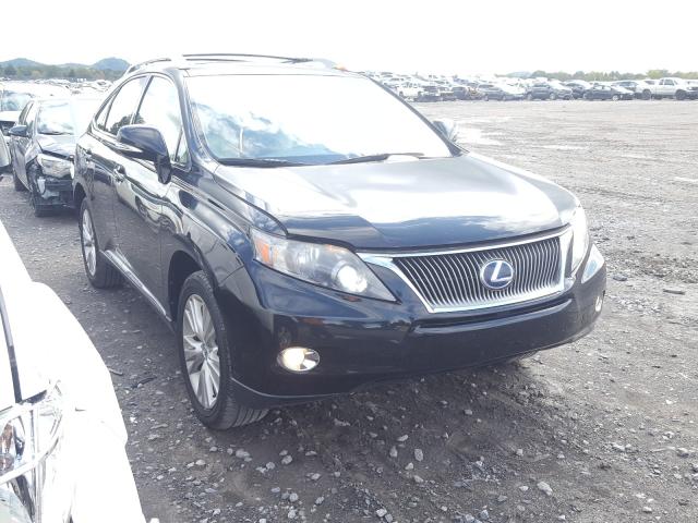 LEXUS RX 450 2010 jtjbc1ba4a2026762