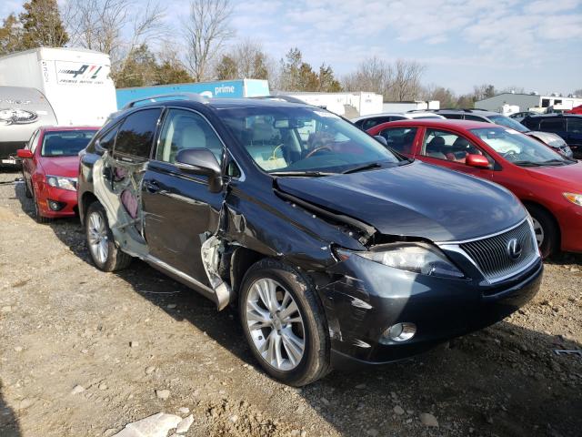 LEXUS RX 450 2010 jtjbc1ba4a2402036