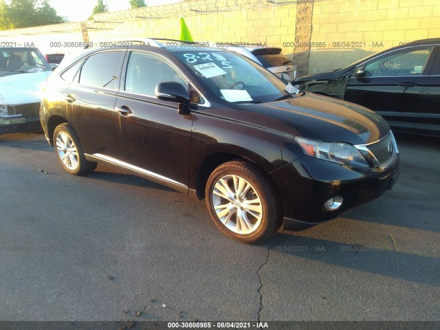 LEXUS RX 450H 2010 jtjbc1ba4a2406278