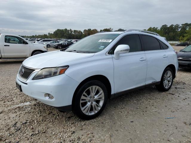 LEXUS RX450 2010 jtjbc1ba4a2407866