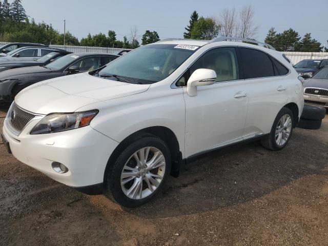 LEXUS RX 450H 2011 jtjbc1ba4b2039187