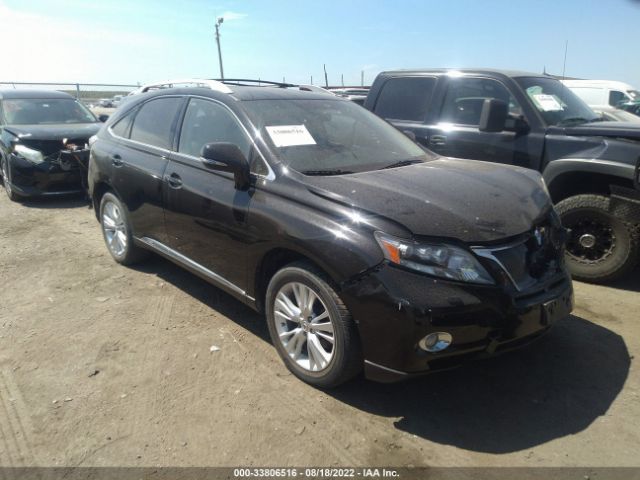 LEXUS RX 450H 2012 jtjbc1ba4c2424492