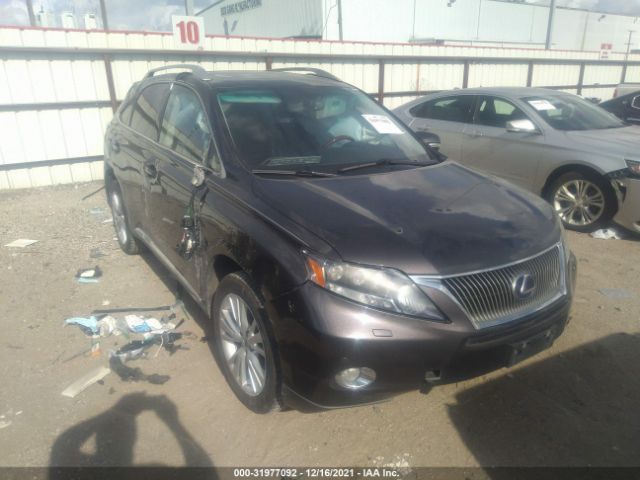 LEXUS RX 450H 2010 jtjbc1ba5a2021408