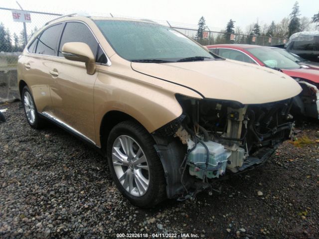 LEXUS RX 450H 2010 jtjbc1ba5a2022915