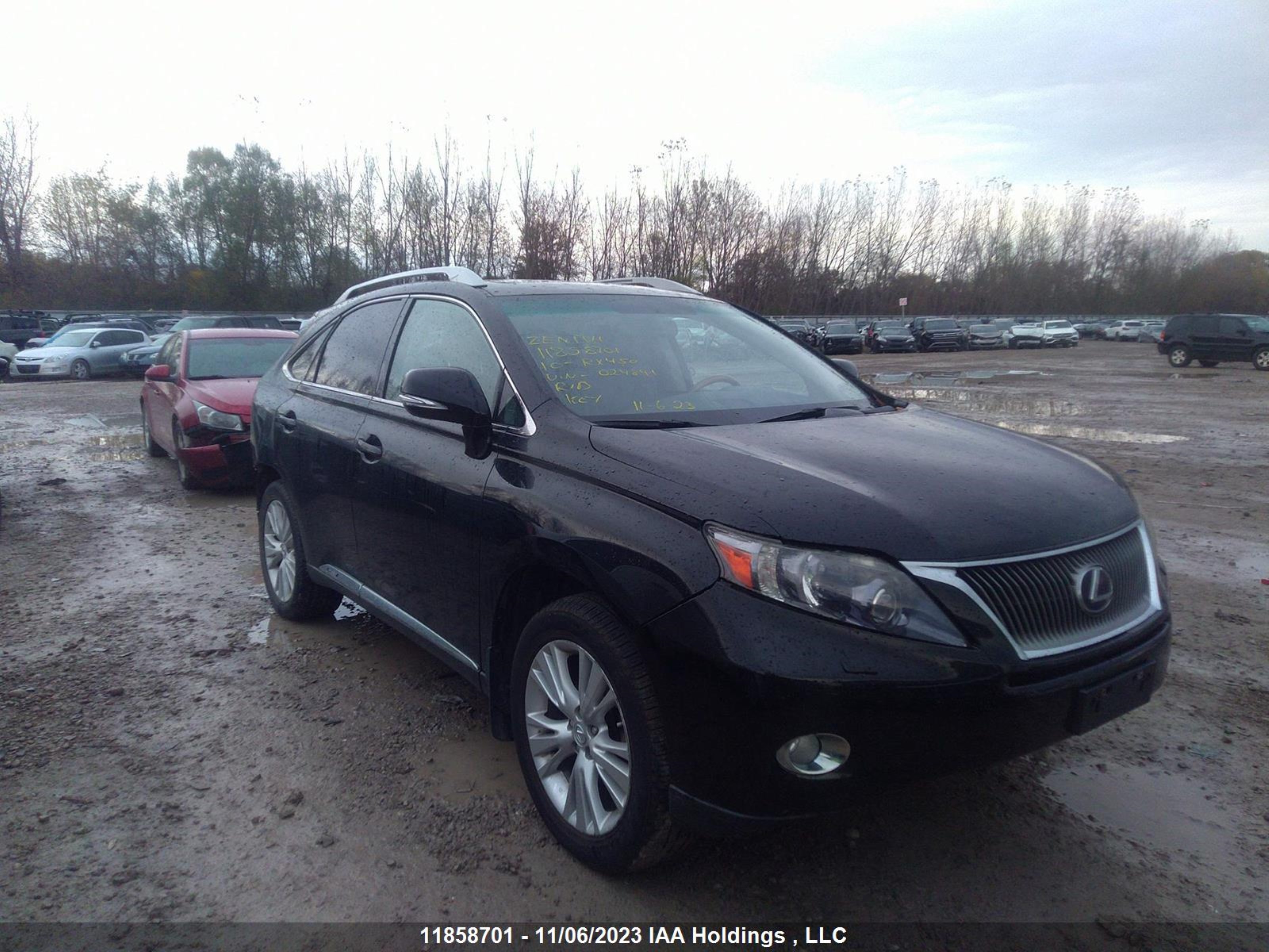 LEXUS RX 2010 jtjbc1ba5a2024891