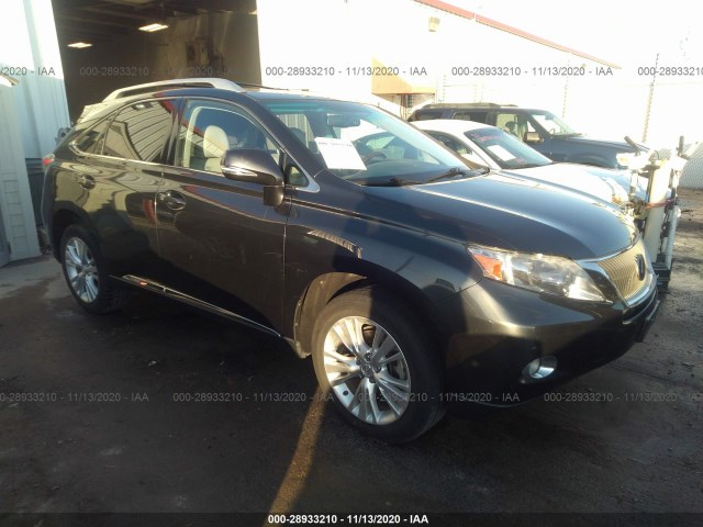 LEXUS RX 450H 2010 jtjbc1ba5a2028424