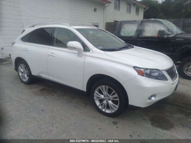 LEXUS RX 450H 2010 jtjbc1ba5a2030139