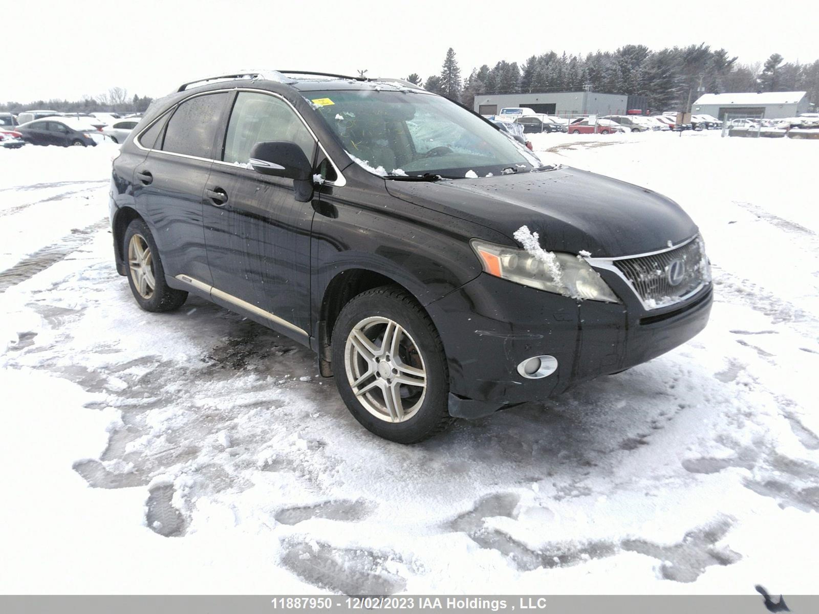 LEXUS RX 2010 jtjbc1ba6a2003290