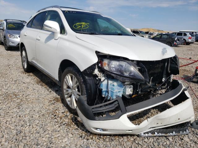 LEXUS RX 450 2010 jtjbc1ba6a2005959