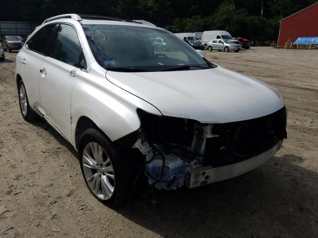 LEXUS RX 450 2010 jtjbc1ba6a2022969