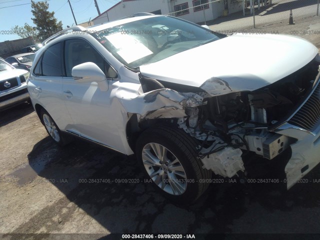 LEXUS RX 450H 2010 jtjbc1ba6a2025970