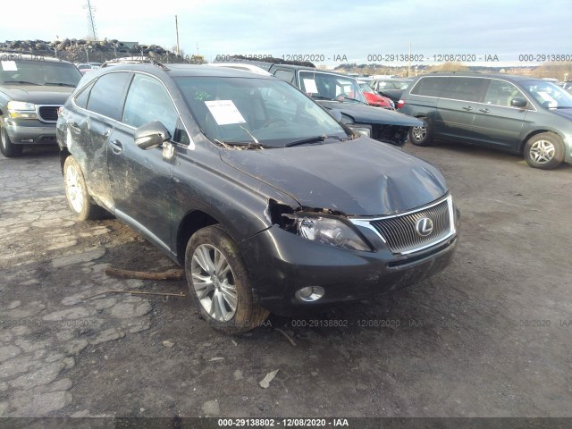 LEXUS RX 450H 2010 jtjbc1ba6a2401034