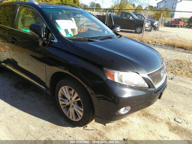 LEXUS RX 450H 2010 jtjbc1ba6a2414527